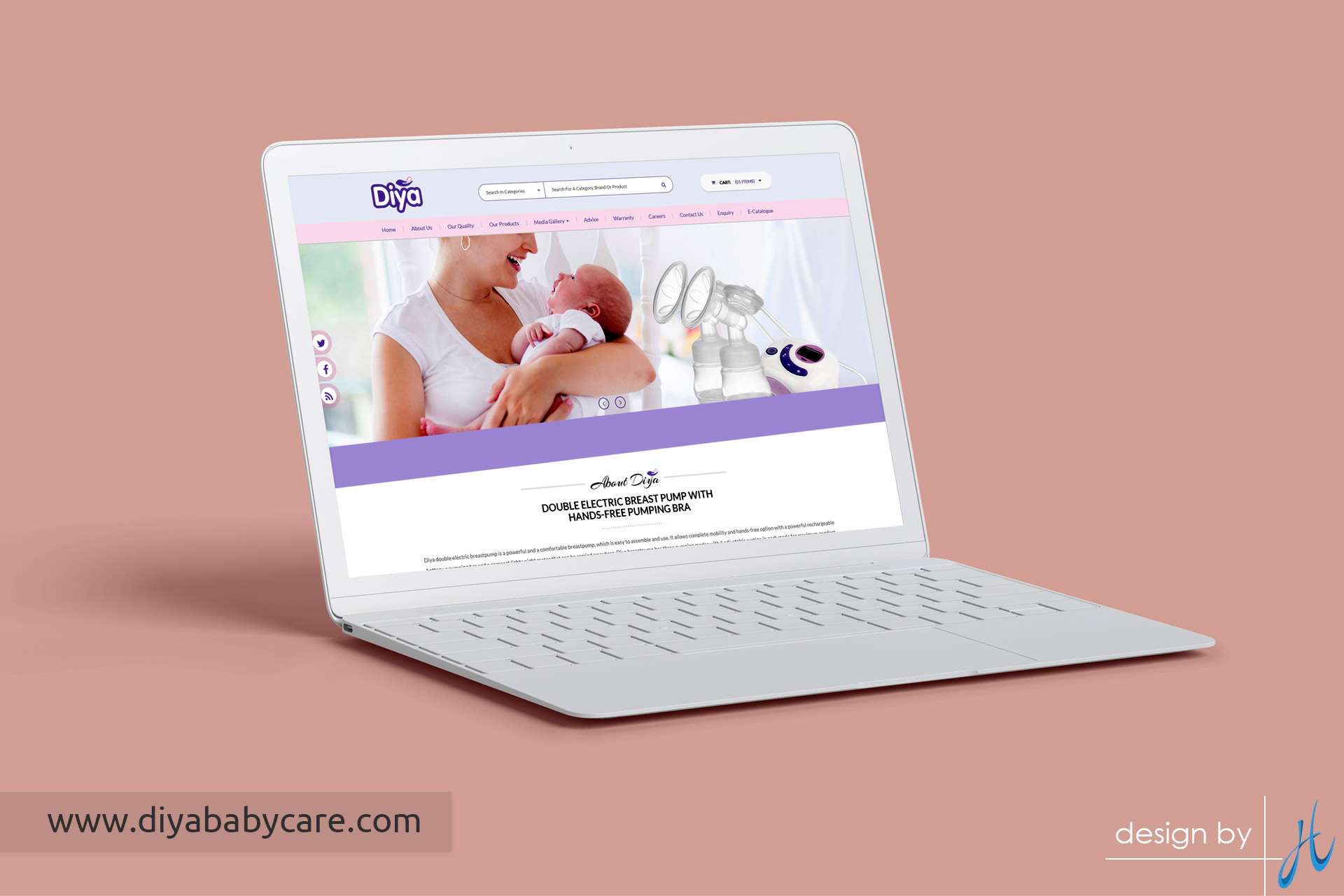 Diyababycare Web